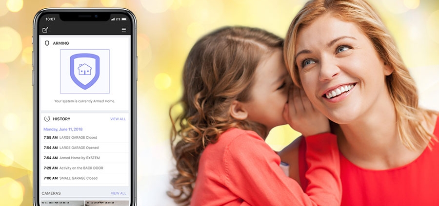 wlimingotn de home alarm companies